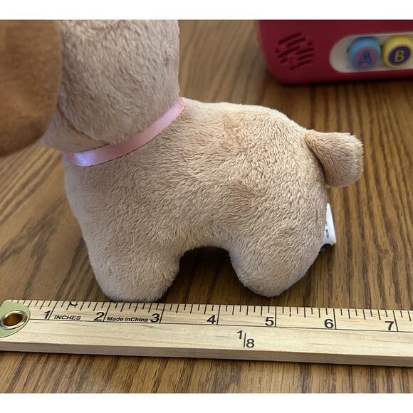 VTech Care For Me Learning Pet Carrier, Pink. Lights Sounds Interactive w/Dog - Picture 13 of 16